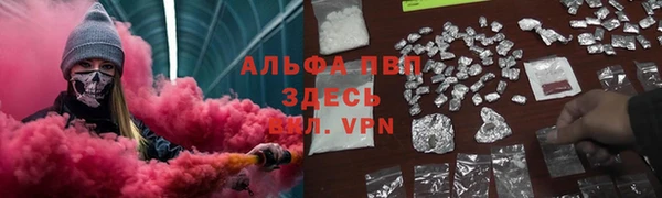 шишки Абинск