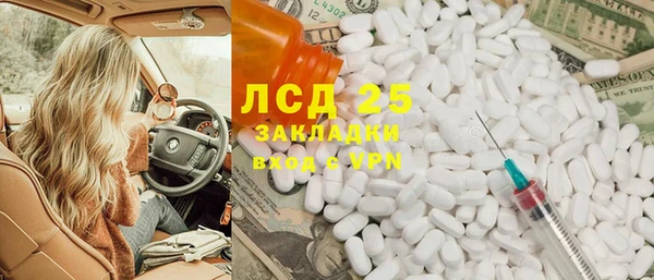 шишки Абинск