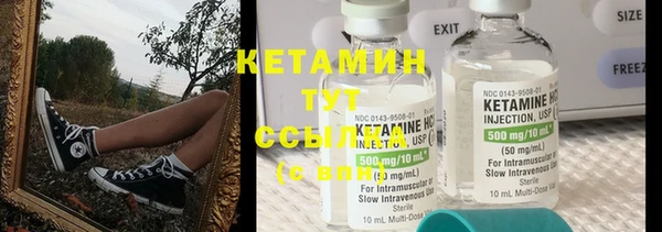 шишки Абинск